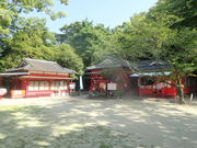 マイBOOさんのクスノキの投稿写真1