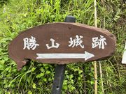 Shotaさんの勝山城址の投稿写真1