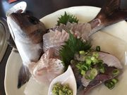 やまたろうさんのとんがらしの投稿写真1
