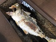 やまたろうさんのとんがらしの投稿写真2
