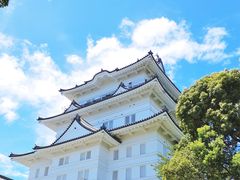 小田原城の写真1