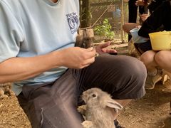 ひろみさんの袖ヶ浦ふれあいどうぶつ縁への投稿写真1