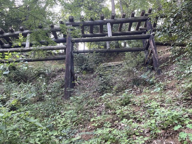 4つ目で出てきた橋です。
恐怖のあまりパスして帰りに出てきましたので、
下からパシャリ!
_東丹沢グリーンパーク