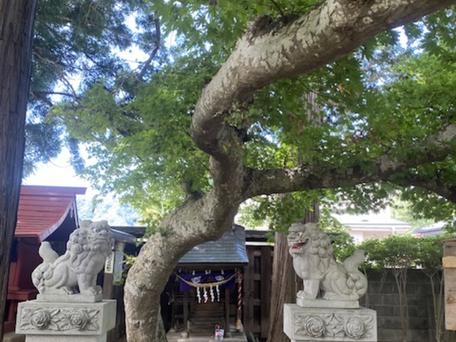 亀麿くんを守ってくれてるお稲荷様と並んで建てられている亀麿神社の祠。癒される境内。_金田一温泉郷