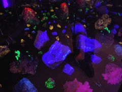 サクラサクさんの玄武洞ミュージアムへの投稿写真1