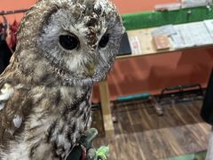 たなはさんのアクアフォレスト -水の森-への投稿写真1
