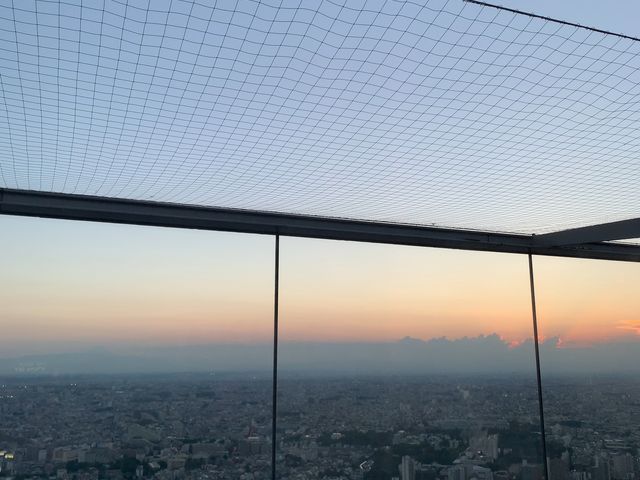日没寸前の景色_SHIBUYA SKY
