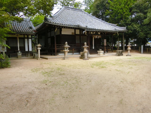 やんまあさんの秦楽寺の投稿写真1