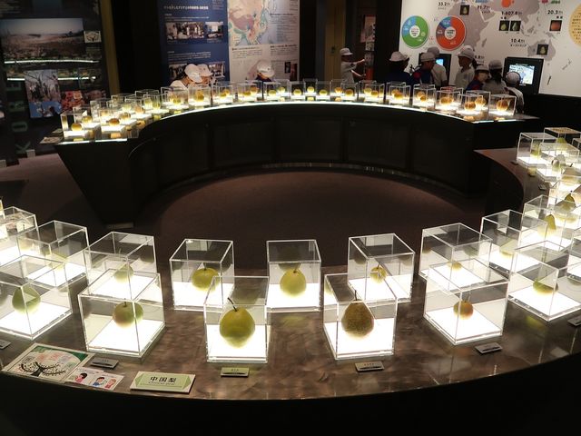鳥取二十世紀梨記念館 なしっこ館