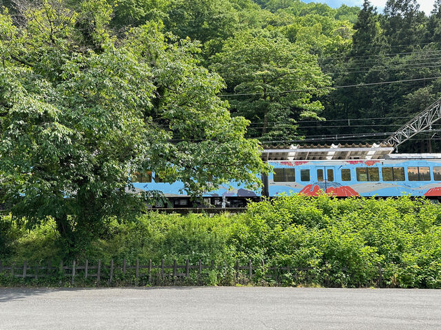 芦ヶ久保で見れる_西武鉄道芦ヶ久保駅