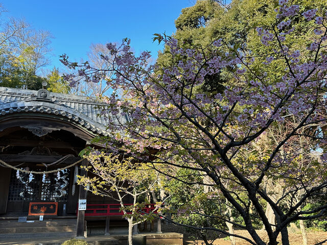 吾妻神社_吾妻神社