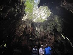 るーさんの屋久島ガイドツアーへの投稿写真1
