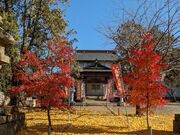 かずとさんの薬師寺の投稿写真1