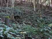かずとさんの平重盛墳墓の投稿写真3