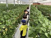 オモテさんのサニーさんファームの投稿写真1