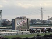 とろっとすたーさんの中山競馬場の投稿写真1