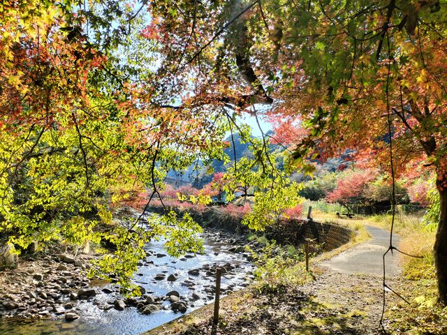 紅葉_青井岳温泉
