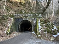 Shotaさんの天城山隧道(通称:旧天城トンネル)への投稿写真1