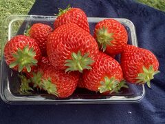 茶々さんのgoone5への投稿写真1