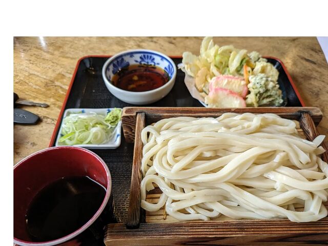 うどんセット(天麩羅5種盛り)_食の駅ぐんま 吉岡店