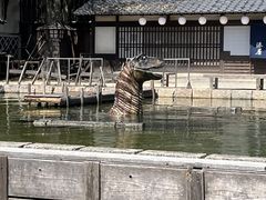 東映太秦映画村の写真1