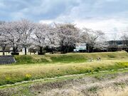 7DICEさんの東雲公園の投稿写真3