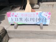 サンプルさんの上目黒氷川神社の投稿写真2