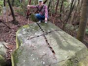 まじげさんの妻木城跡の投稿写真2