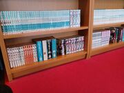 60代のスノーボードおじさんさんの氷見市潮風ギャラリー 藤子不二雄Aアートコレクションの投稿写真5