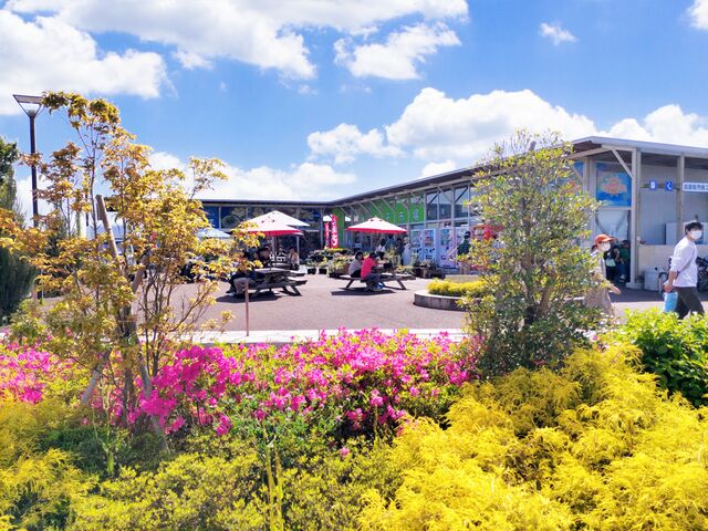 5月初旬のサツキ晴れ。_道の駅 かぞわたらせ