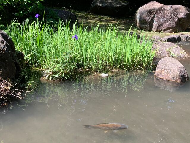 丸山公園_丸山公園