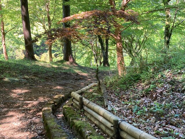 丸山公園_丸山公園