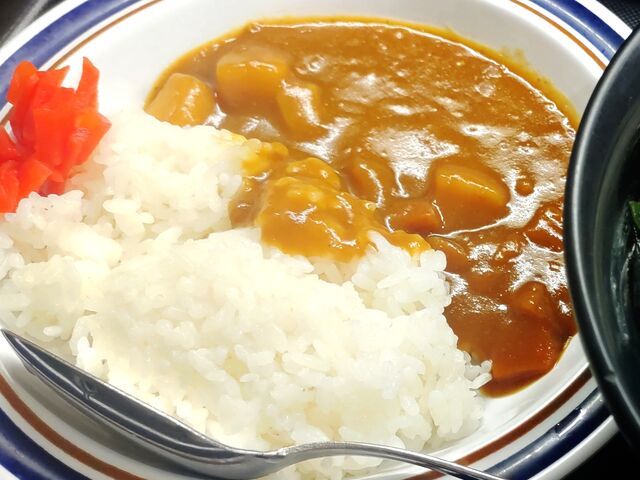 蕎麦のお供にミニカレーライス_名代富士そば 王子店