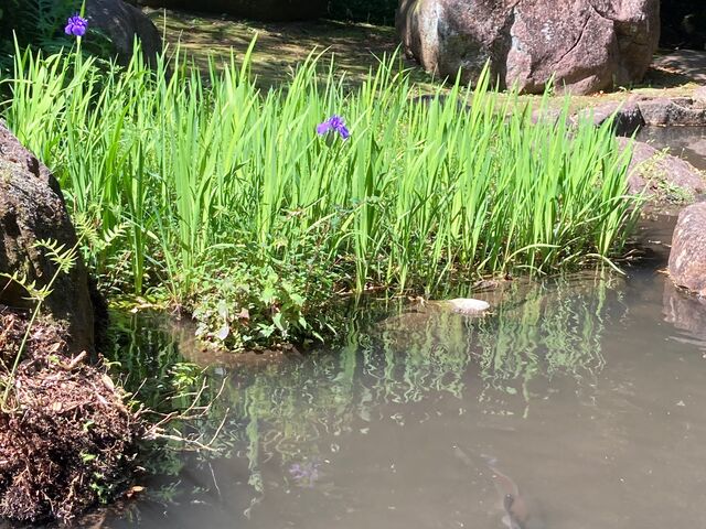 丸山公園_丸山公園