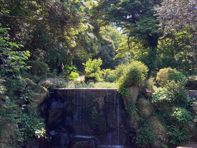 丸山公園_丸山公園