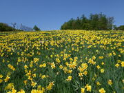 殿さんのみやぎ蔵王えぼしリゾートの投稿写真2