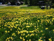 殿さんのみやぎ蔵王えぼしリゾートの投稿写真3