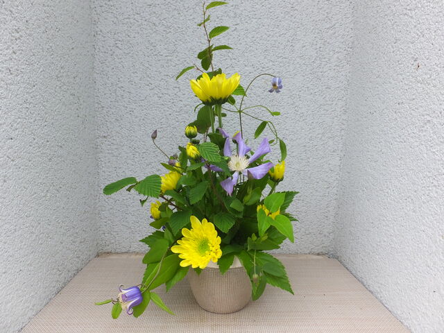 お店の外にも生花_茶のちもと