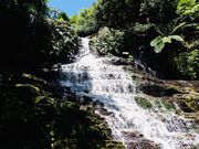 かなななななさんの西表島ジャングルツアーPaaOの投稿写真1