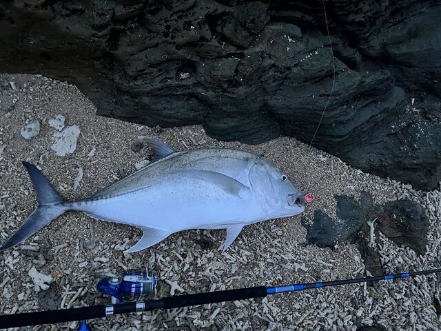念願のショアGT!_DSF石垣島
