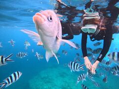 のまちゃんさんのB-natureへの投稿写真1
