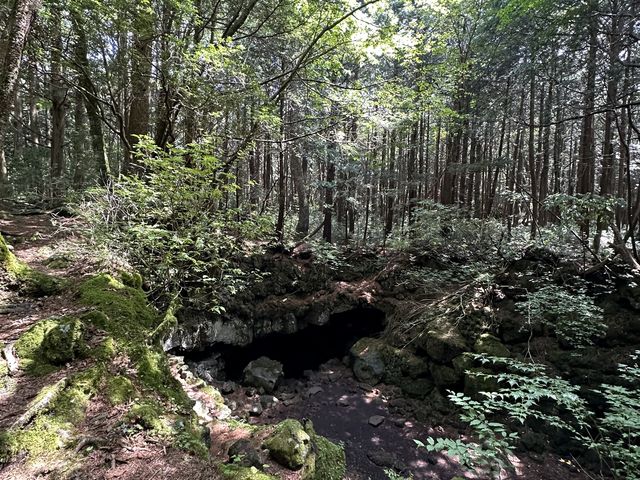 風穴です_【富士山自然遊び】スパイシージャム
