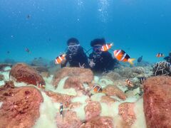 アキさんの柏島ダイビングサービス Smiley Diveへの投稿写真1