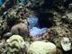 283さんのDIVING SHOP RYAAANへの投稿写真3