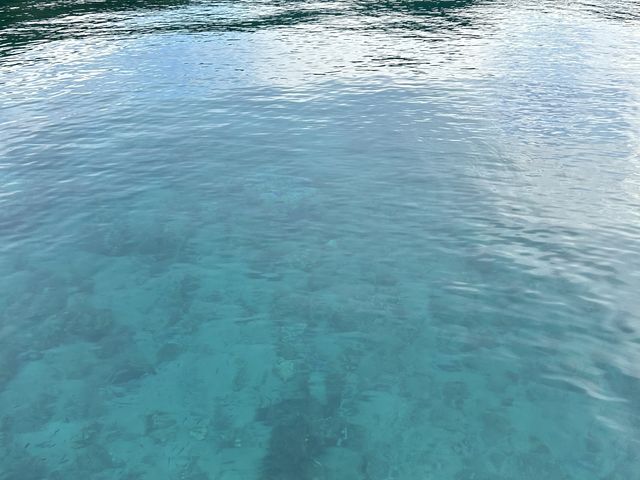 加計呂麻ブルーの海でシュノーケル。_スローガイド奄美