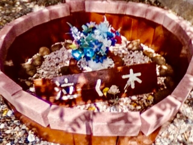 星野玄師さんの泣く木の投稿写真1