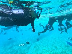 みやぎさんの沖縄ダイビングと青の洞窟のSeaMoleへの投稿写真1