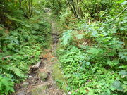 マイBOOさんの飯豊連峰の投稿写真1