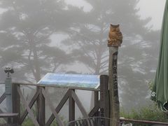 昇仙峡ロープウエイの写真1