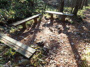 マイBOOさんのアポイ岳の投稿写真1